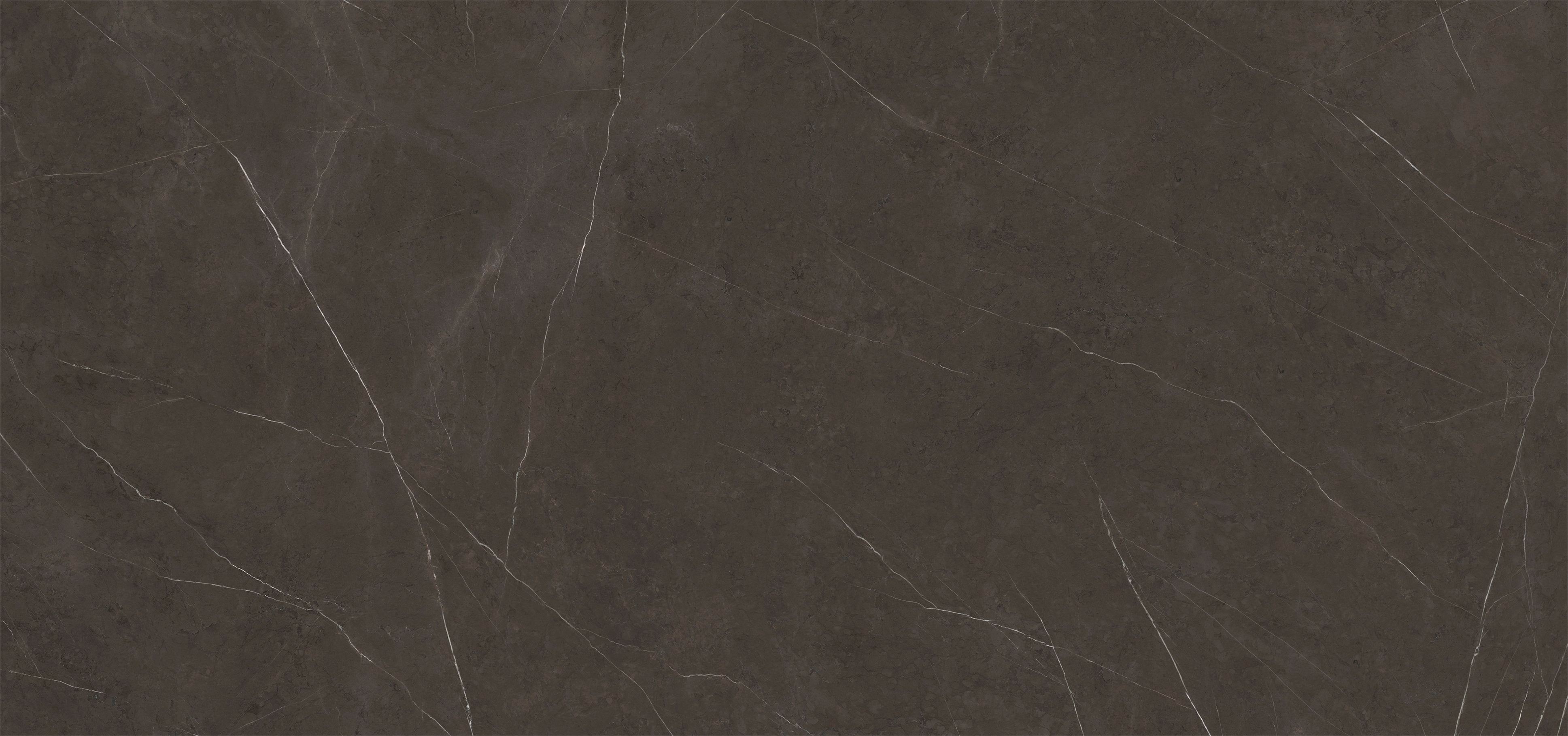 Xtone Liem Dark Nature 1500x3200x12mm (NZ Stock)