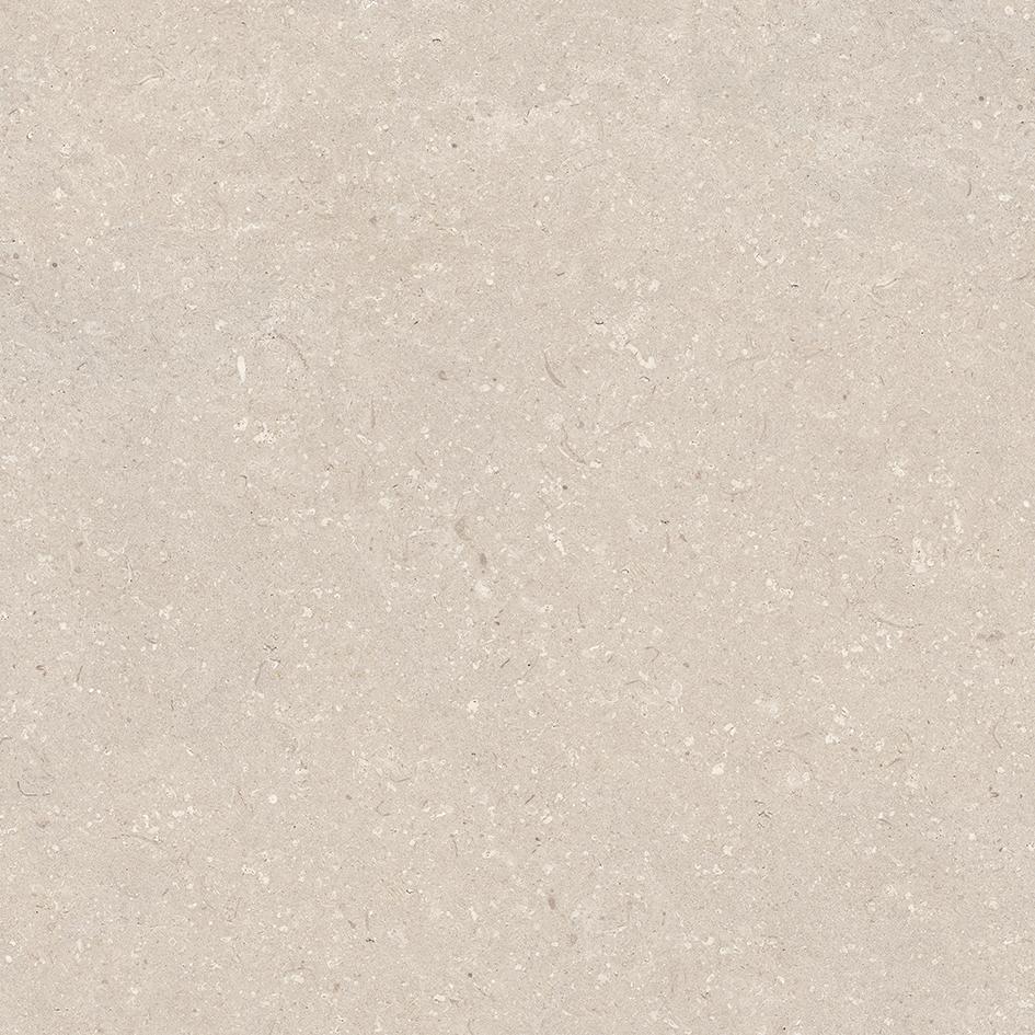 Coral Caliza L 800x800